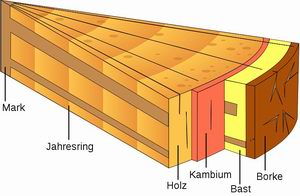 Grafik von Thomas Steiner (Wikipedia)